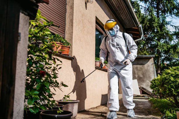 Best Flea Control Services  in University Gardens, NY