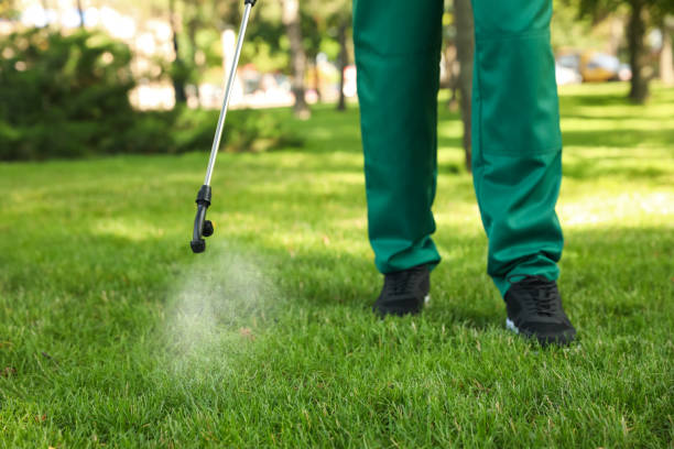 Best Affordable Pest Control Services  in University Gardens, NY