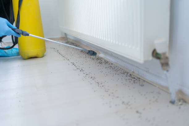 Best Best Pest Control Companies  in University Gardens, NY